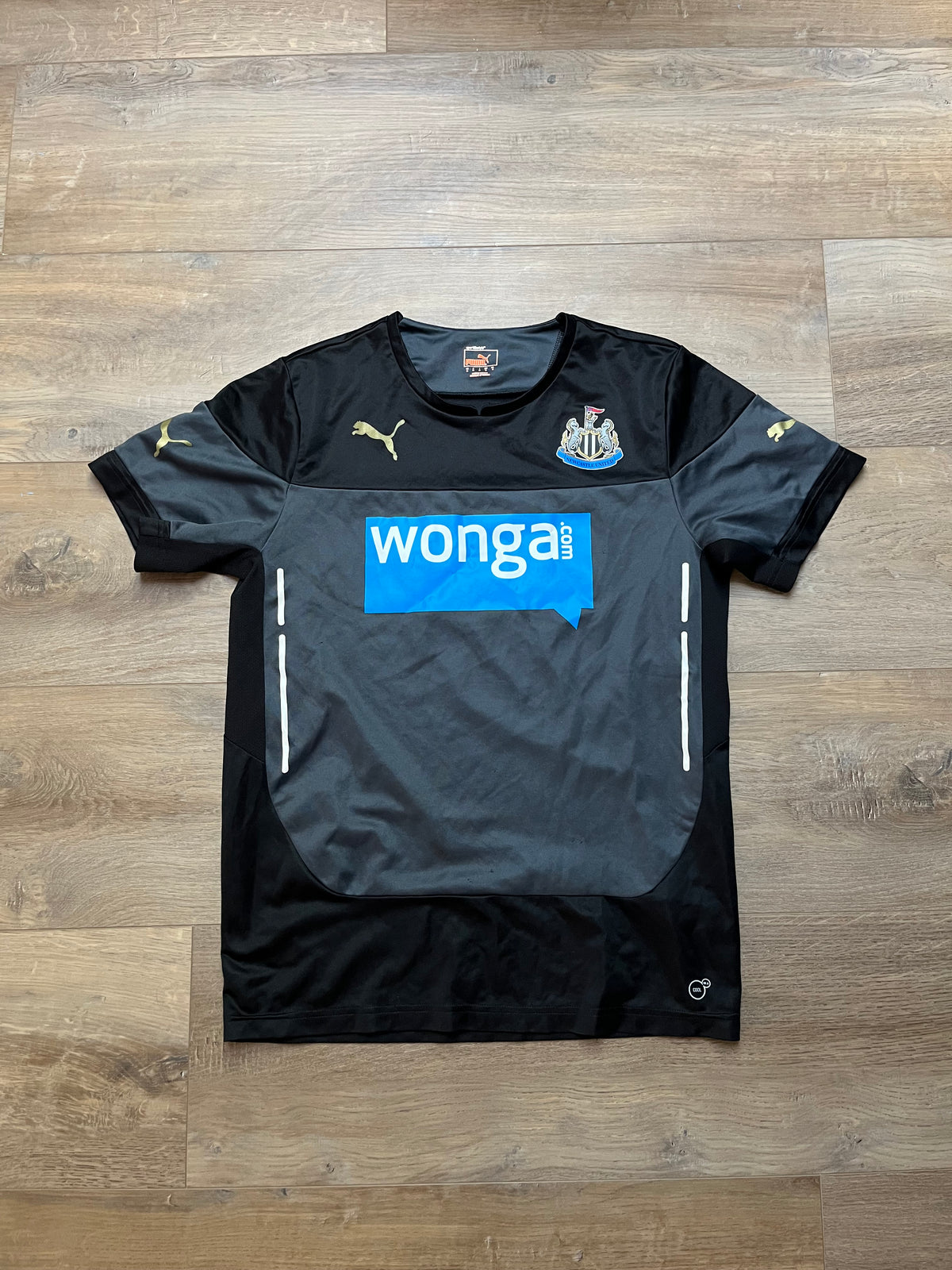 Newcastle 14/15 Travel/Training Jersey - M